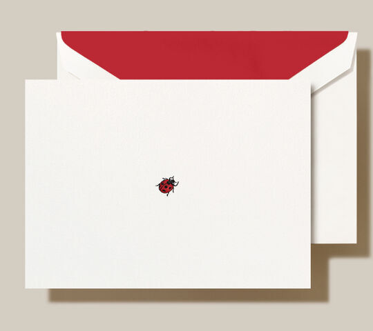 Ladybug Boxed Folded Note Cards