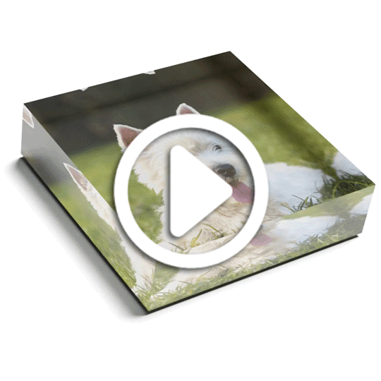 Stunning Photo Glass Paperweight