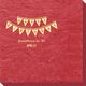 Birthday Banner Bali Napkins Image 2 of 2