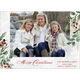Winter Mist Flat Holiday Photo Cards Image 1 of 2