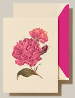 Modern Vintage Peonies Boxed Folded Note Cards