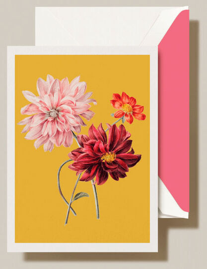 Modern Vintage Dahlia Stems Boxed Folded Note Cards