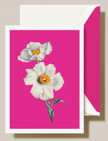 Modern Vintage White Poppies Boxed Folded Note Cards