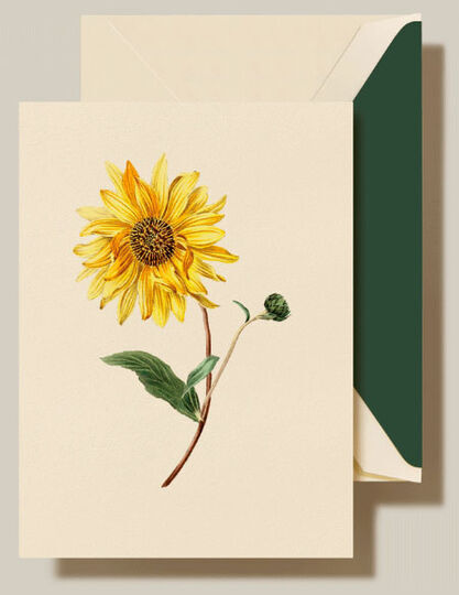 Modern Vintage Sunflower Boxed Folded Note Cards