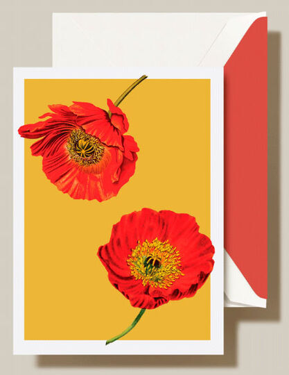 Modern Vintage Poppies Bunch Boxed Folded Note Cards
