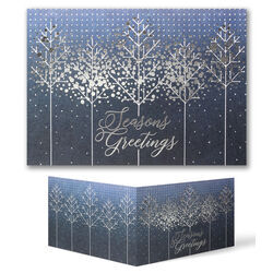 Silvery Winter Locale