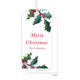 Holly Party Large Hanging Gift Tags Image 1 of 2