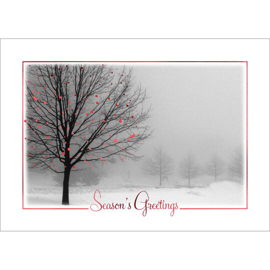 Red Bird Misty View Folded Holiday Cards