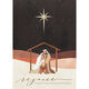 Almighty Light Folder Holiday Cards Image 1 of 3