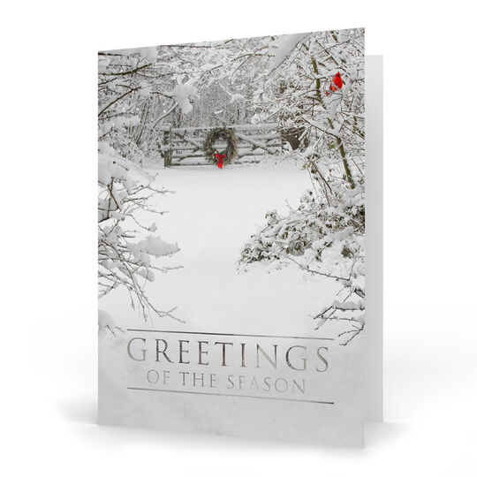 Park Bench Winter Scene Folded Holiday Cards