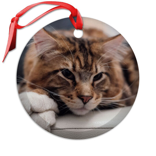 Upload Your Own Photo Glass Ornament