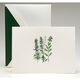 Garden Herbs Boxed Folded Note Cards - Hand Engraved Image 1 of 2