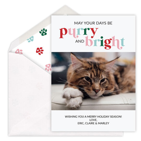 Purry and Bright Flat Holiday Photo Cards