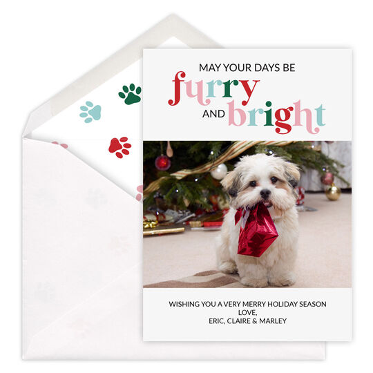 Furry and Bright Flat Holiday Photo Cards