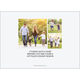 Large Script Hanukkah Flat Photo Cards Image 2 of 2