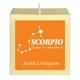 Zodiac 3-Inch Candle Image 11 of 13