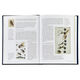 History of Fly Fishing in Fifty Flies Personalized Leather Book Image 7 of 10