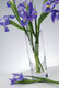 Deep Etched Monogrammed Crystal Prelude Vase Image 2 of 5