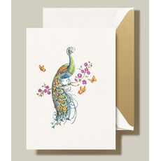 Peacock Boxed Folded Note Cards
