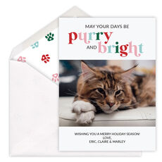 Purry and Bright Flat Holiday Photo Cards