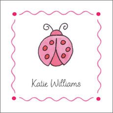 Little Ladybug Gift Enclosures