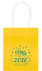 Class of Confetti Dots Mini Twisted Handled Bags