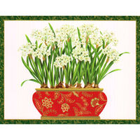 Potted Paperwhites Holiday Cards