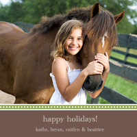 Cilantro and Brown Holiday Photo Cards