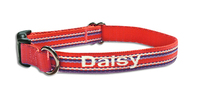 Personalized Line Up Pet Collar