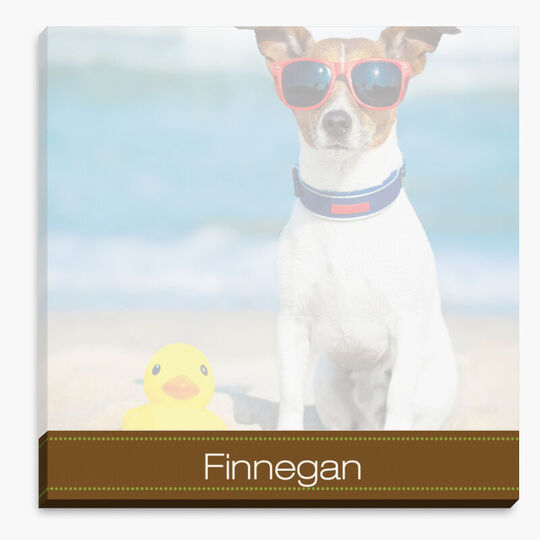 Brown Band Photo Notepad