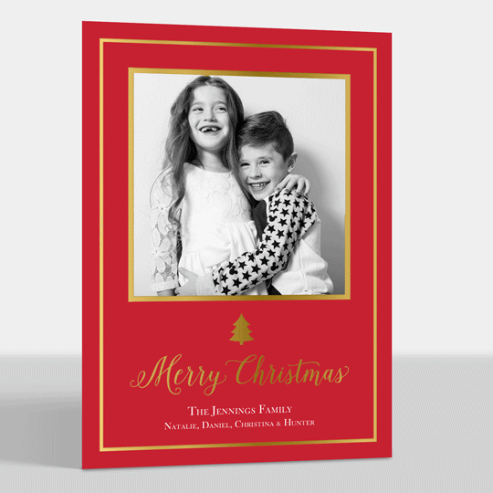 Framed Spruce Gold Foil Flat Holiday Photo Cards