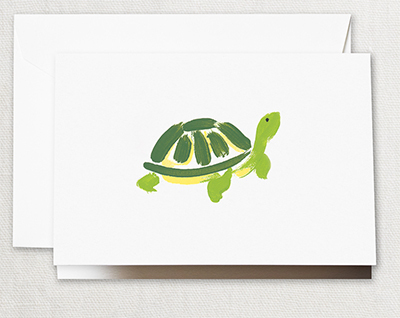 Brushstroke Turtle Boxed Folded Note Cards