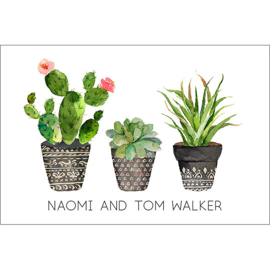 Southwest Potted Garden Gift Stickers