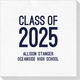 Proud Class of Graduation Deville Napkins Image 3 of 3