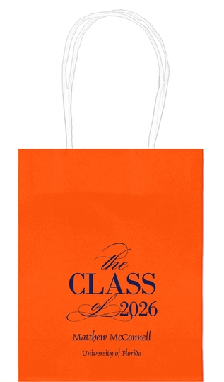  Mini Twisted Handled Bags