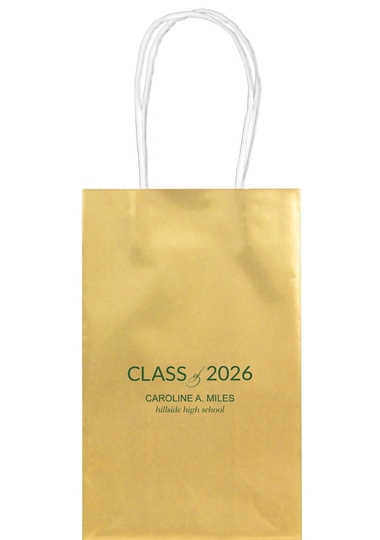  Medium Twisted Handled Bags