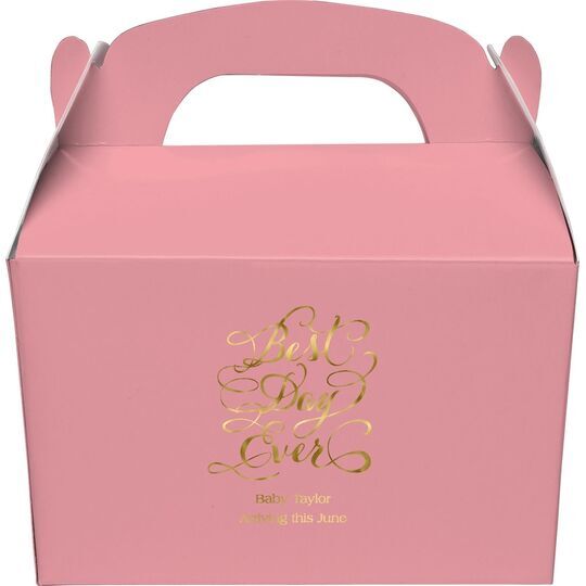 Whimsy Best Day Ever Gable Favor Boxes