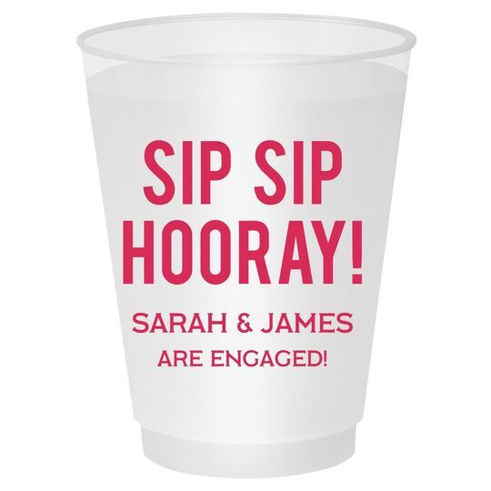 Bold Sip Sip Hooray Shatterproof Cups