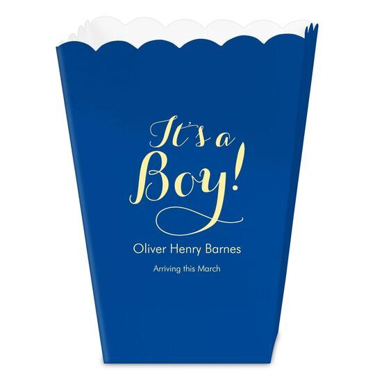 Elegant It's A Boy Mini Popcorn Boxes