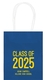 Proud Class of Graduation Mini Twisted Handled Bags Image 2 of 3