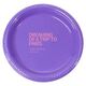 Vacation Dreams Plastic Plates Image 4 of 5