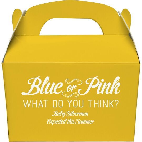 Blue or Pink Shower Gable Favor Boxes