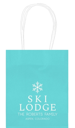  Mini Twisted Handled Bags